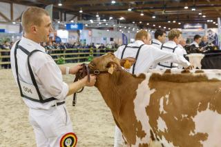 Agribex2019_61384s