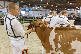 Agribex2019_61384s