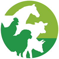 About Brussels Livestock Show